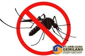 Jasa Pembasmi Nyamuk di Medan