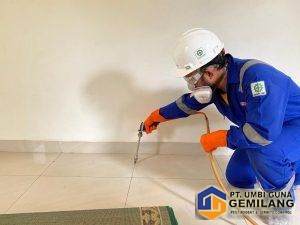 Jasa Pembasmi Kecoa di Medan